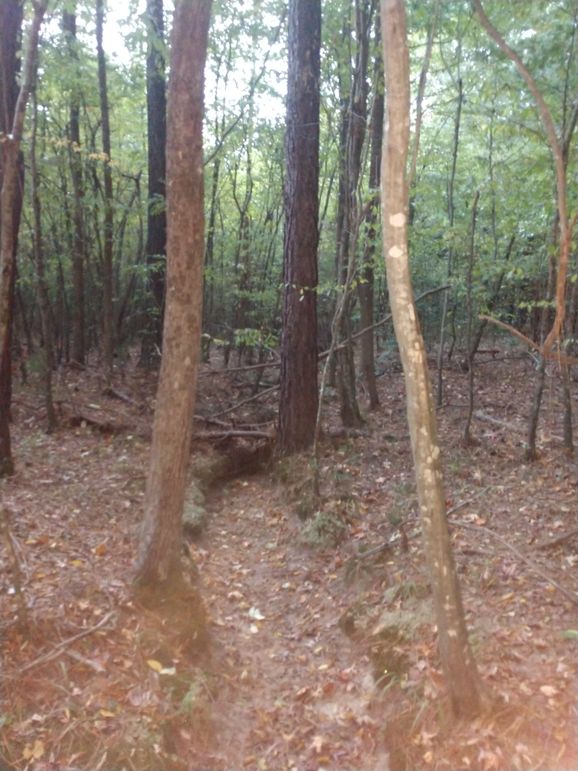 IMG_20220925_162303529