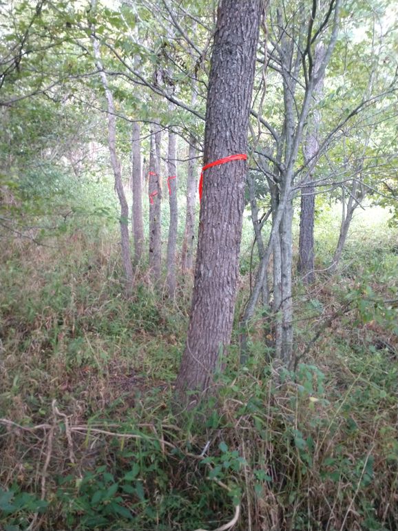 IMG_20220925_161831832