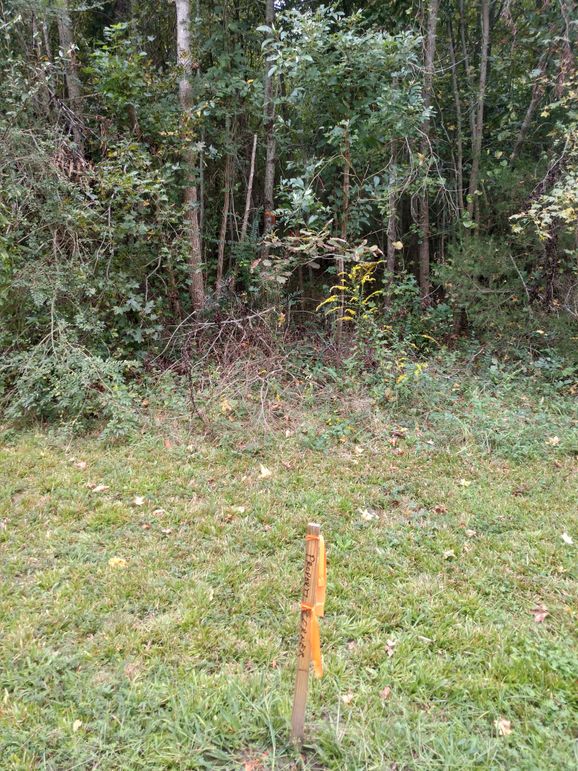 IMG_20220925_155815285_HDR