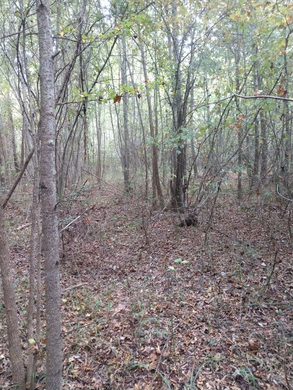 IMG_20220925_160332257