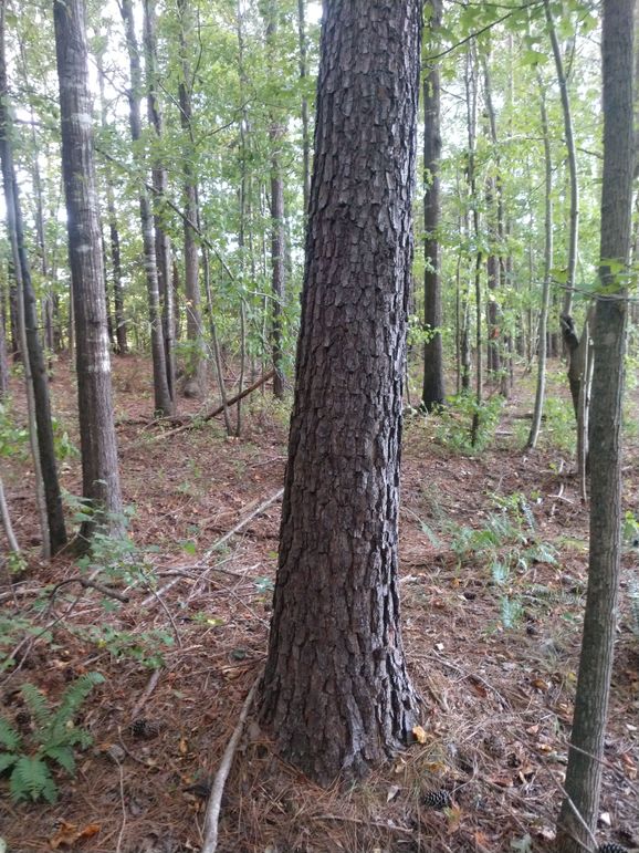 IMG_20220925_161415495