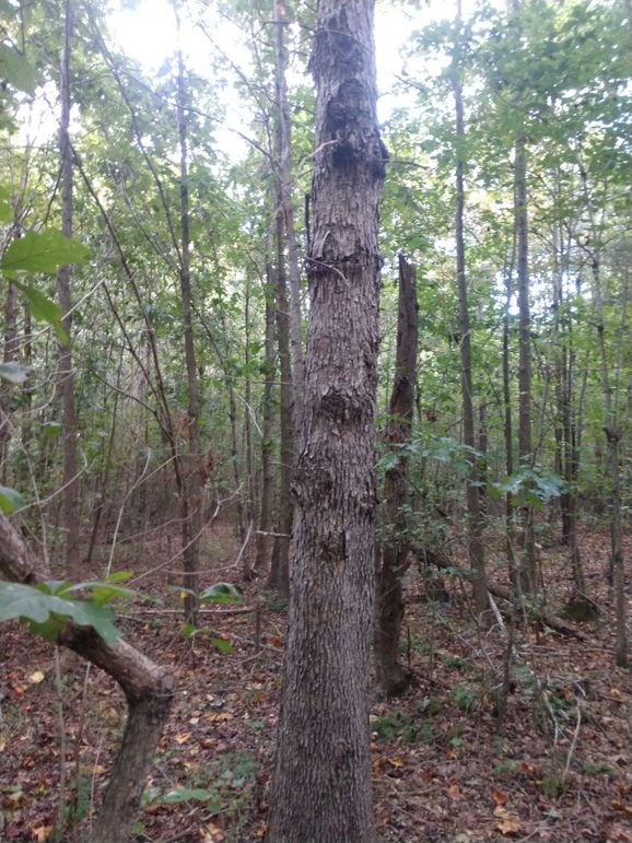 IMG_20220925_160508679