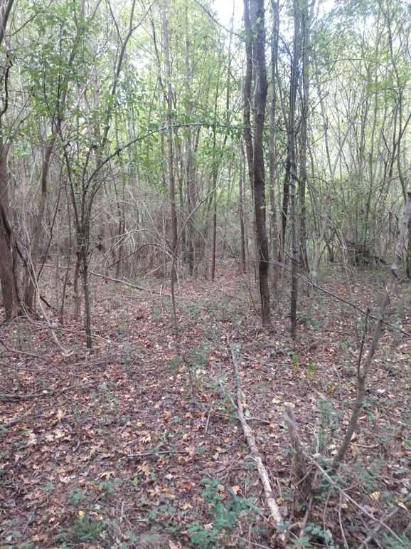 IMG_20220925_160007414