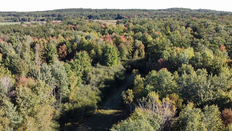 dji_fly_20220928_093704_72_1664378774747_photo_optimized