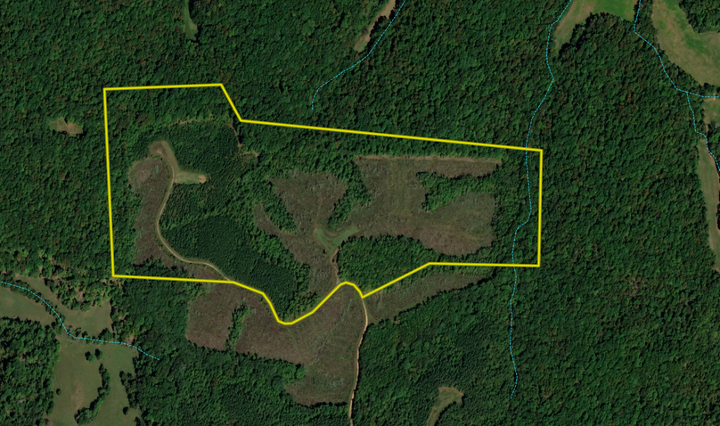 Screen Shot 2022-07-28 at 10.54.37 AM