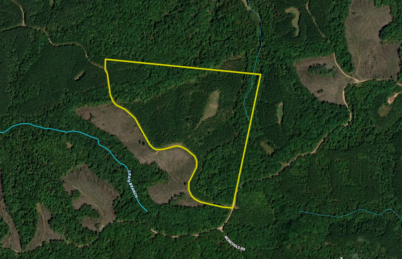 Screen Shot 2022-07-28 at 10.52.13 AM