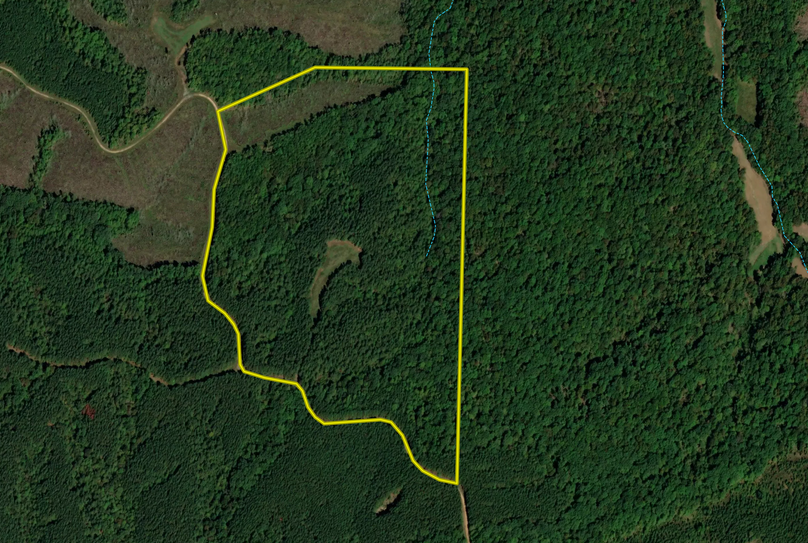 Screen Shot 2022-07-28 at 10.36.04 AM