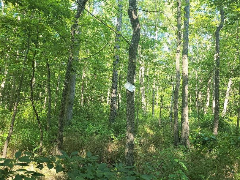 30ac_CaulksFieldRd_KENT_Pic_014