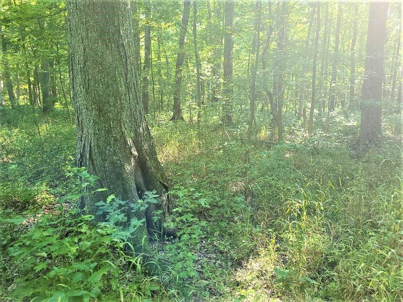 30ac_CaulksFieldRd_KENT_Pic_016