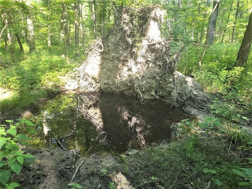 30ac_CaulksFieldRd_KENT_Pic_010