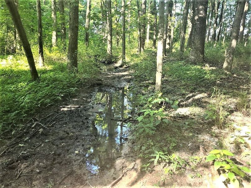 30ac_CaulksFieldRd_KENT_Pic_018