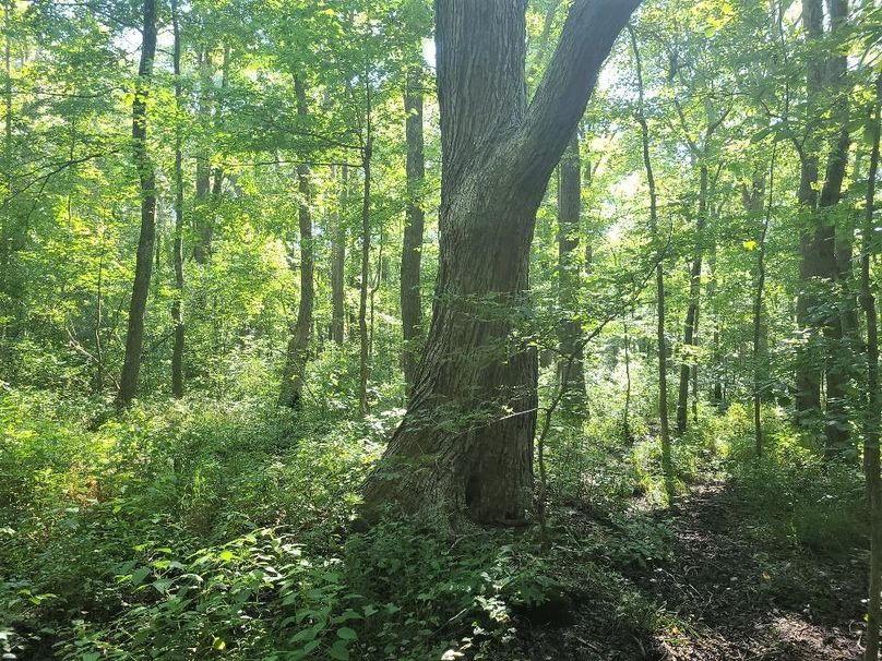 30ac_CaulksFieldRd_KENT_Pic_011