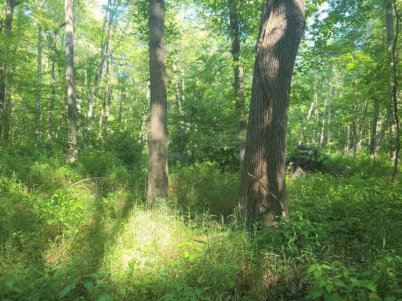 30ac_CaulksFieldRd_KENT_Pic_013