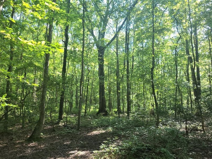 30ac_CaulksFieldRd_KENT_Pic_004