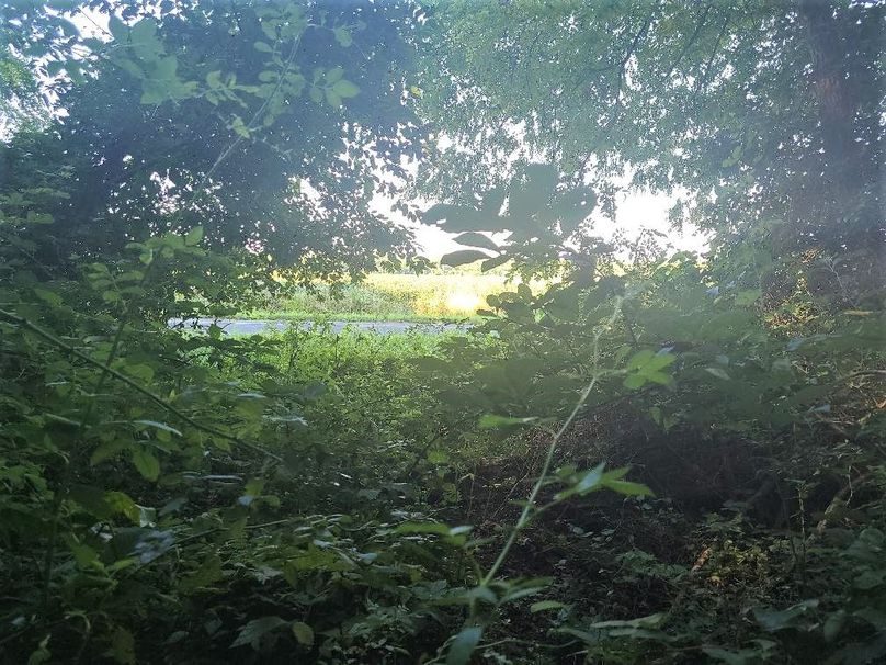 30ac_CaulksFieldRd_KENT_Pic_019