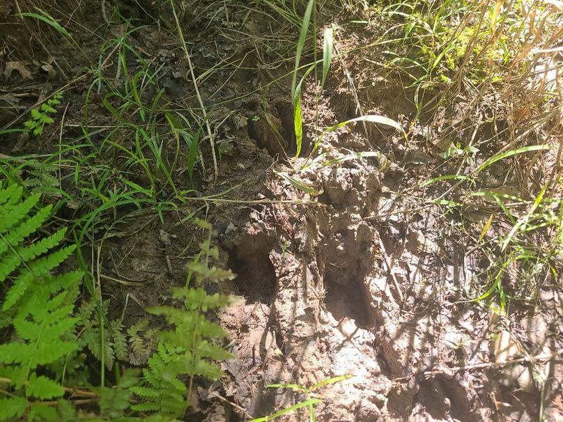 30ac_CaulksFieldRd_KENT_Pic_005