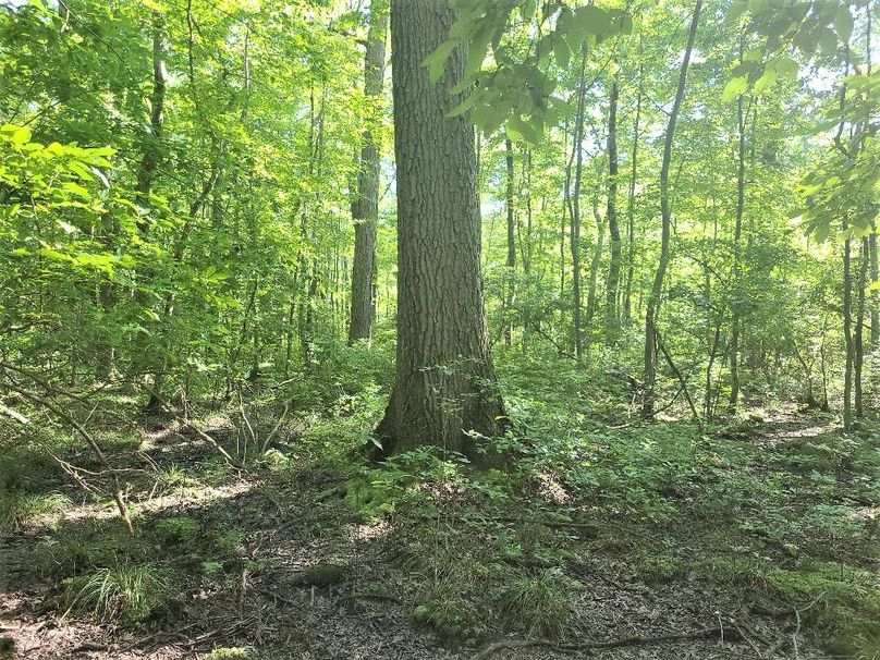 30ac_CaulksFieldRd_KENT_Pic_012