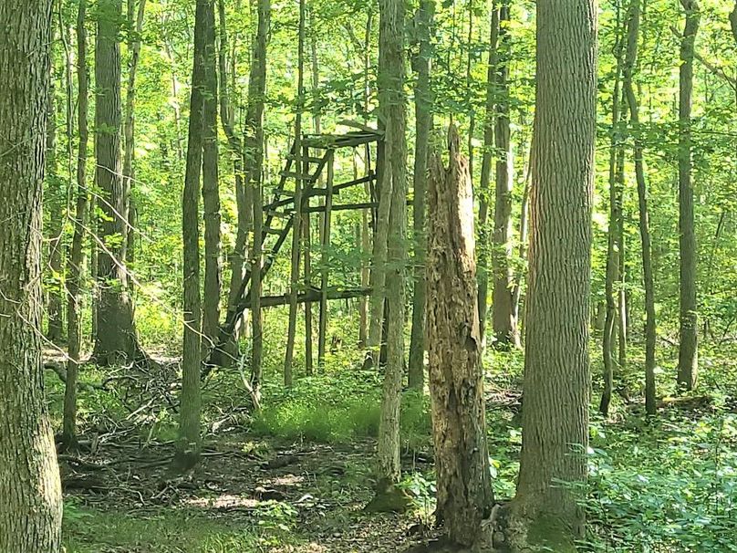 30ac_CaulksFieldRd_KENT_Pic_008