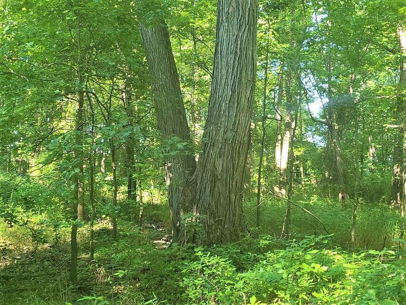 30ac_CaulksFieldRd_KENT_Pic_017