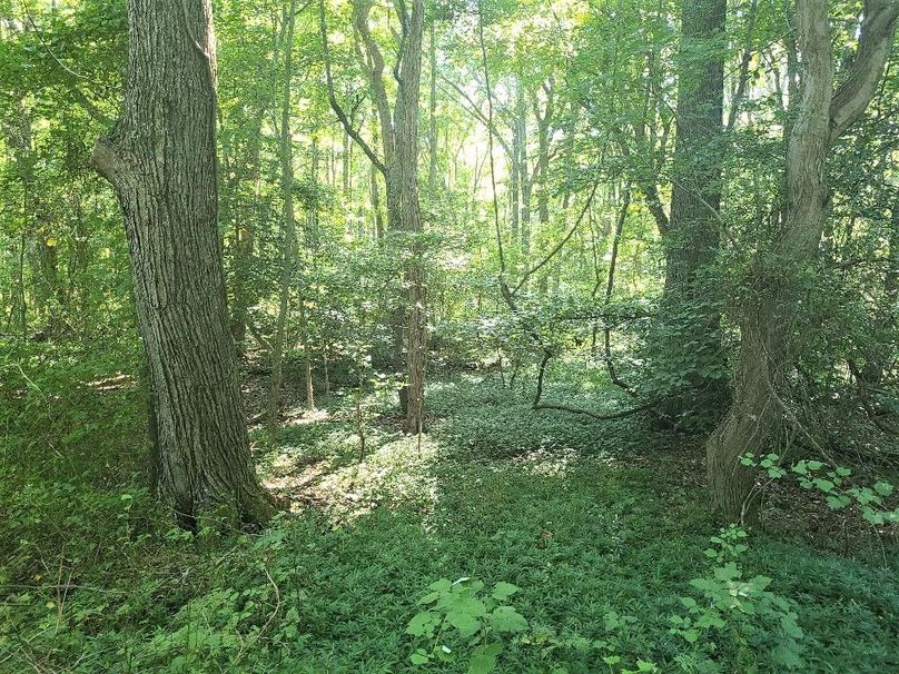 30ac_CaulksFieldRd_KENT_001_MAIN