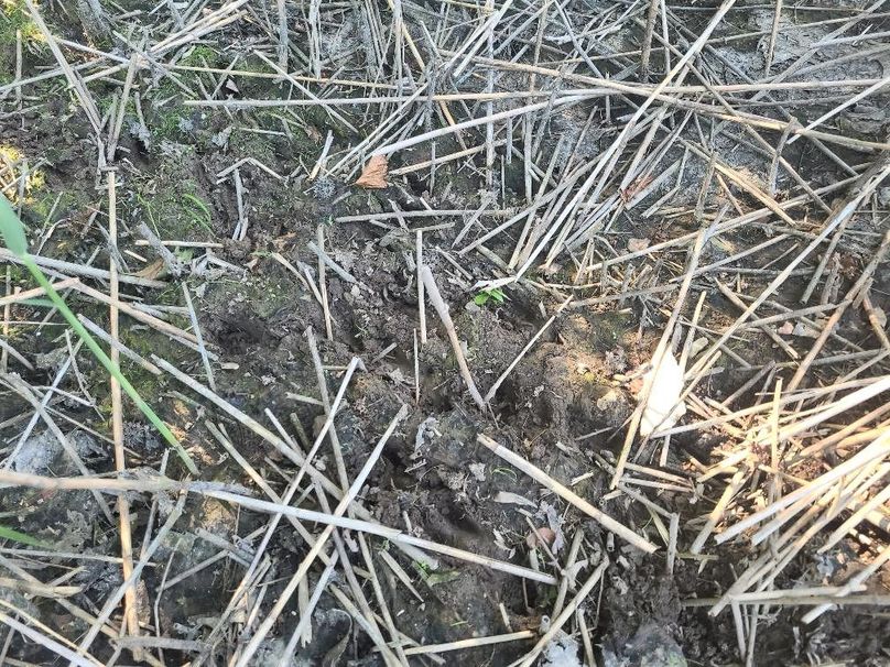 30ac_CaulksFieldRd_KENT_Pic_009