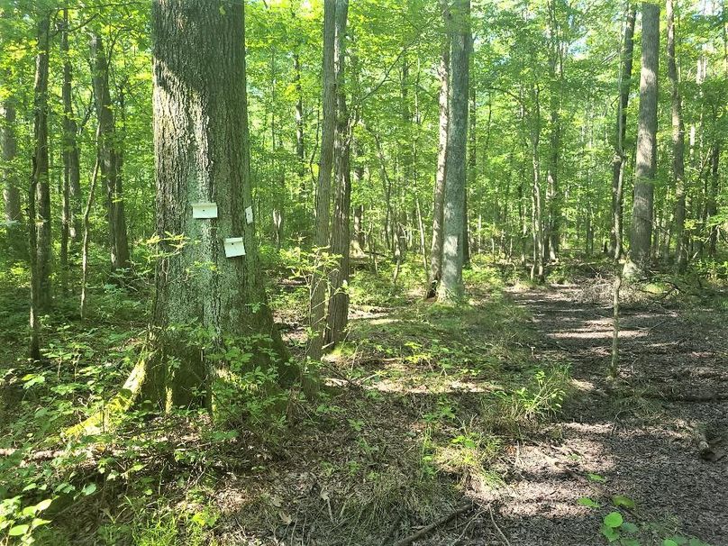 30ac_CaulksFieldRd_KENT_Pic_015