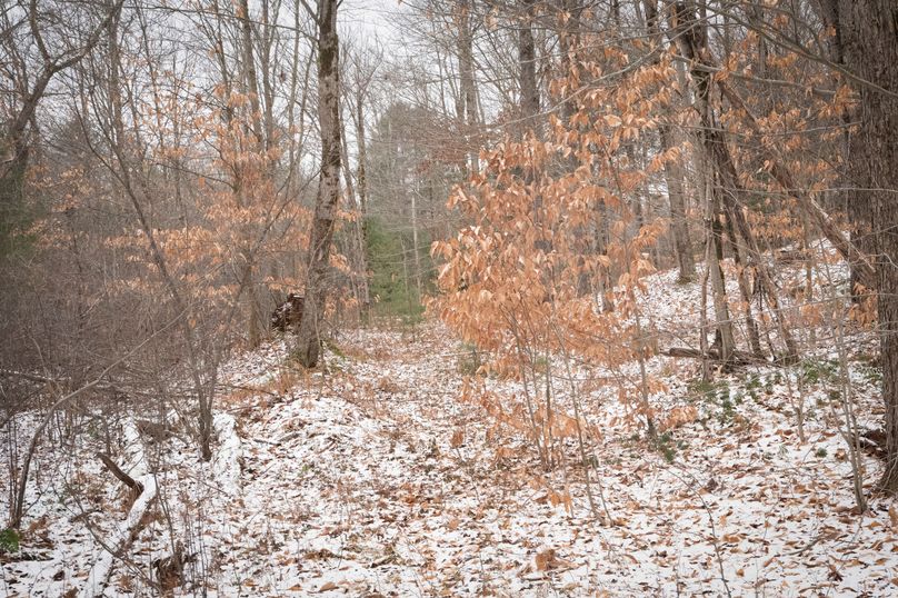 Oswego_66_Oakes_Photos_2