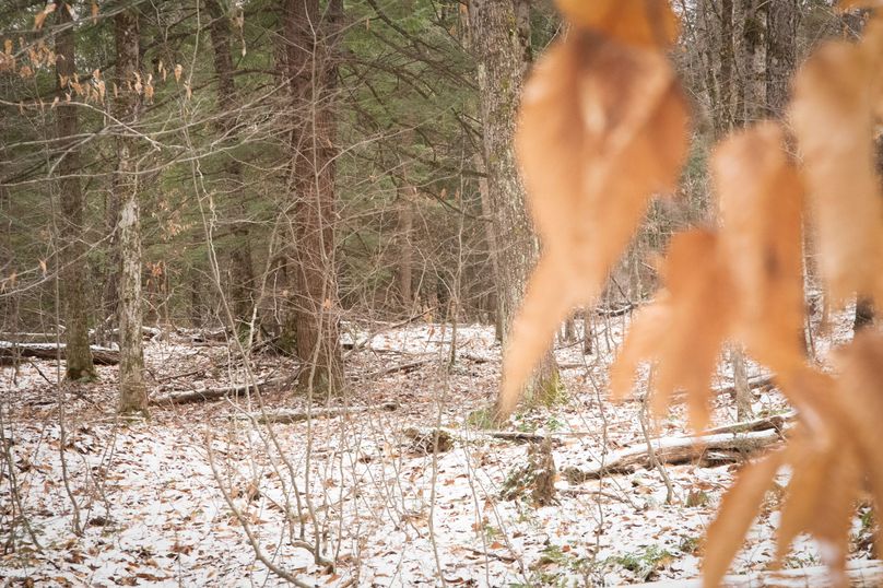 Oswego_66_Oakes_Photos_24