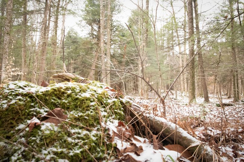 Oswego_66_Oakes_Photos_18