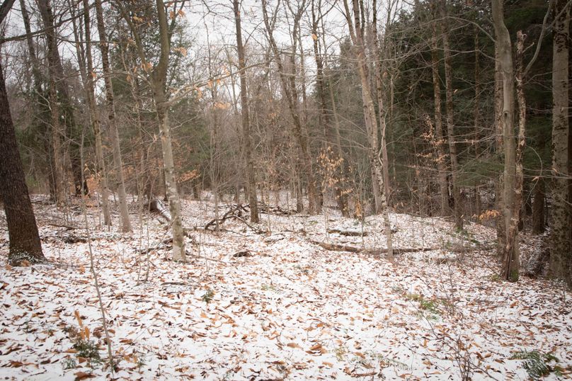 Oswego_66_Oakes_Photos_4