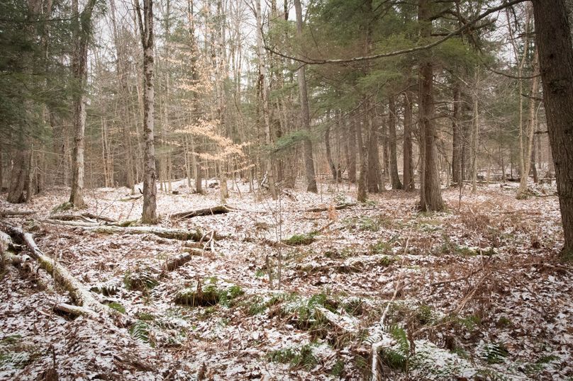 Oswego_66_Oakes_Photos_17