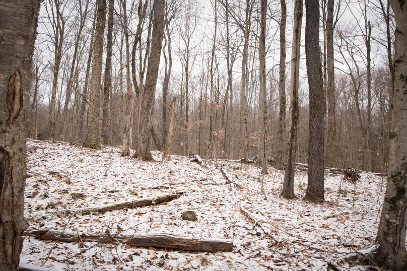 Oswego_66_Oakes_Photos_10