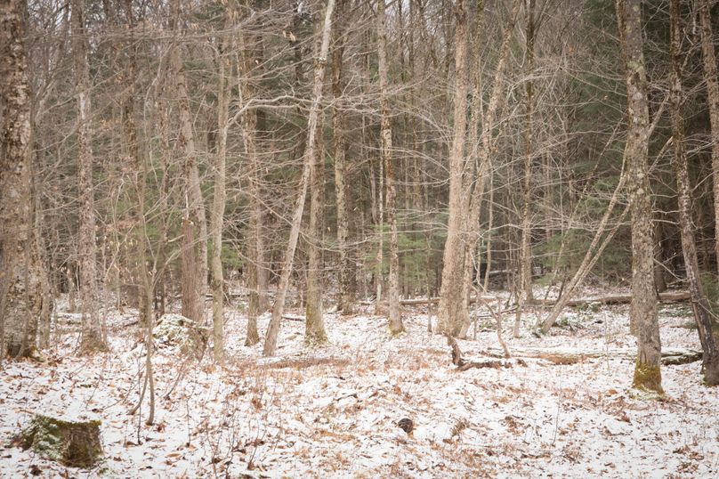 Oswego_66_Oakes_Photos_8