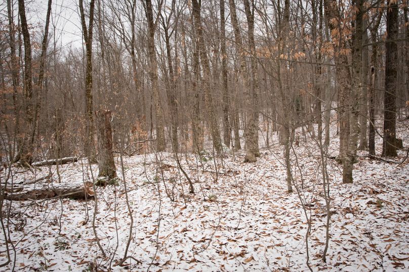 Oswego_66_Oakes_Photos_11