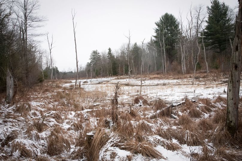 Oswego_66_Oakes_Photos_30