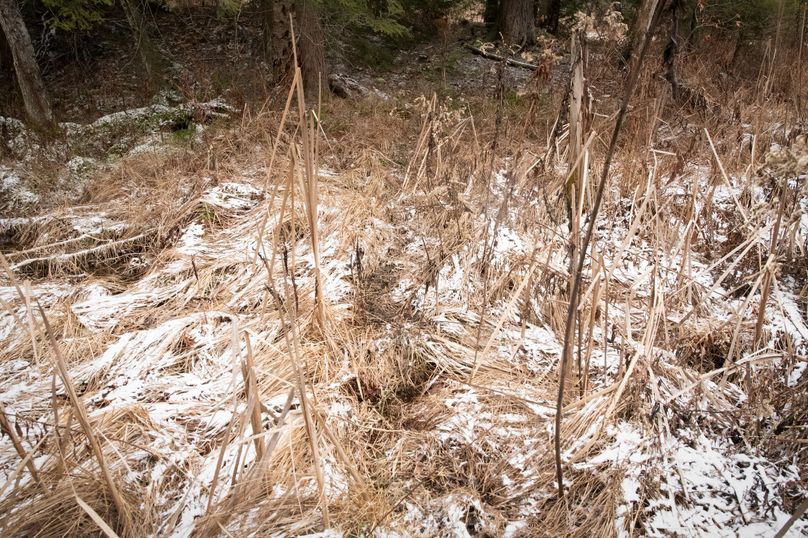 Oswego_66_Oakes_Photos_26