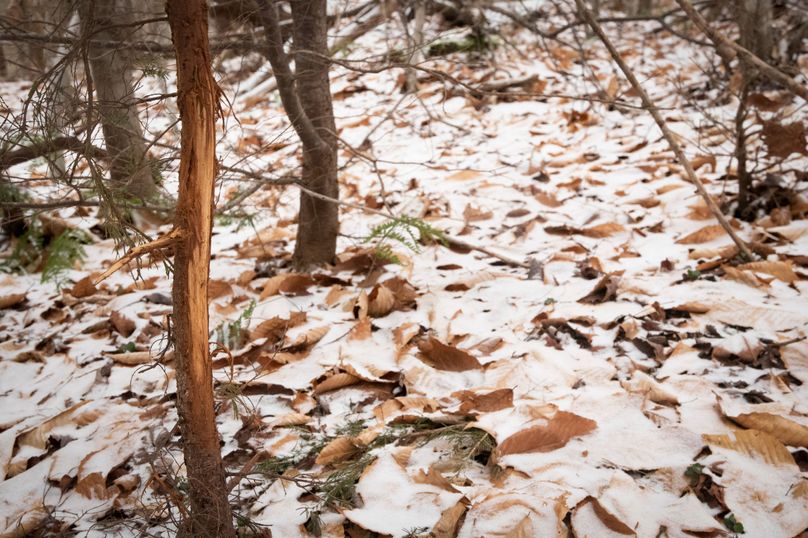 Oswego_66_Oakes_Photos_21