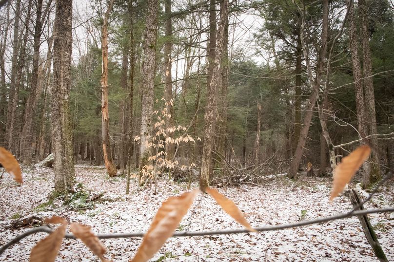 Oswego_66_Oakes_Photos_19