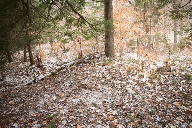 Oswego_66_Oakes_Photos_32