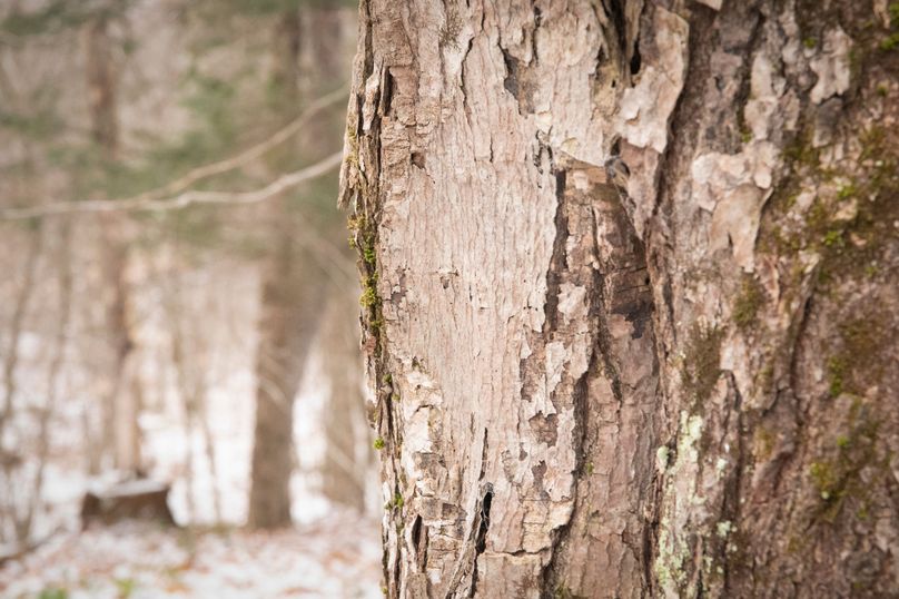 Oswego_66_Oakes_Photos_23