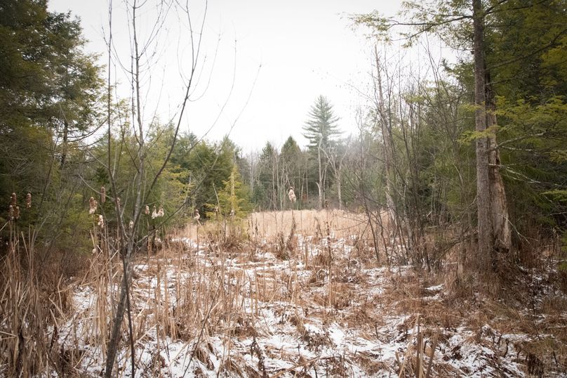 Oswego_66_Oakes_Photos_1