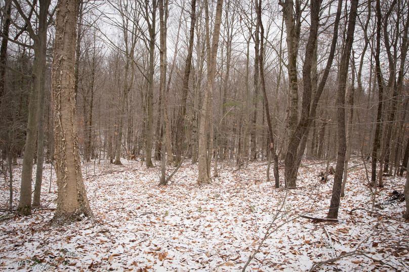 Oswego_66_Oakes_Photos_13