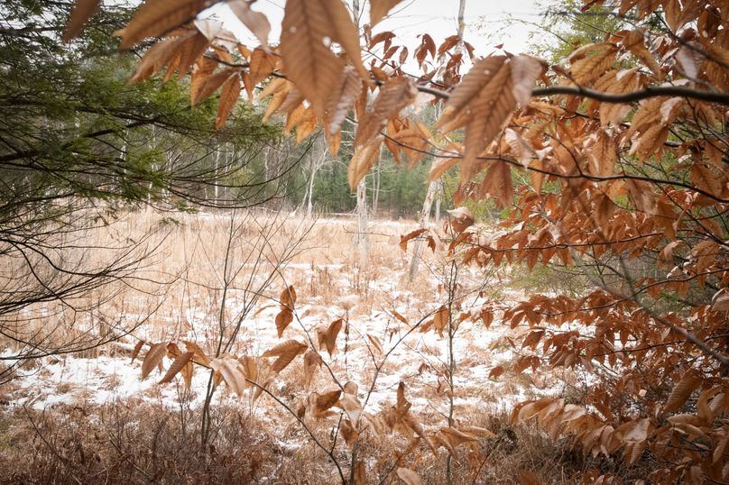 Oswego_66_Oakes_Photos_27