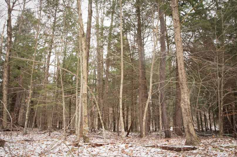 Oswego_66_Oakes_Photos_14