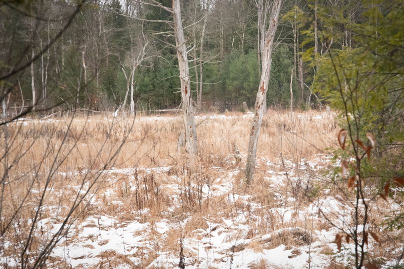 Oswego_66_Oakes_Photos_28