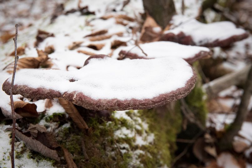 Oswego_66_Oakes_Photos_20