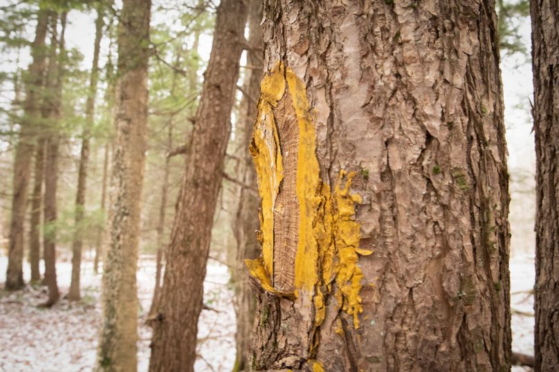 Oswego_66_Oakes_Photos_15