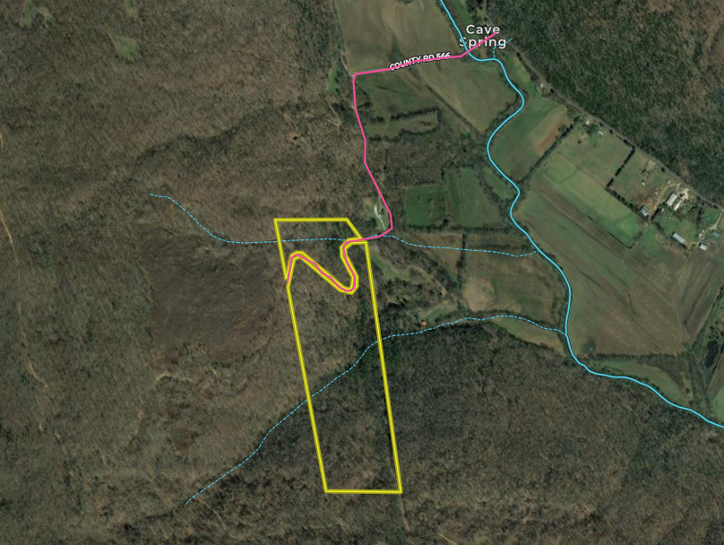 Screen Shot 2022-08-10 at 11.06.30 AM