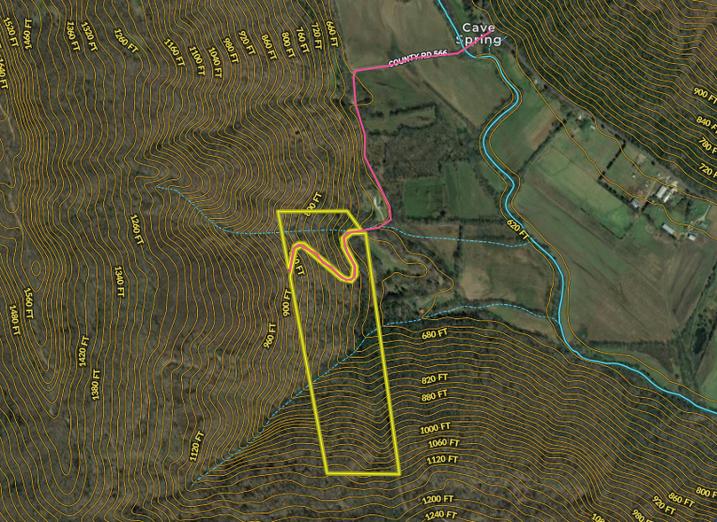 Screen Shot 2022-08-10 at 11.06.17 AM