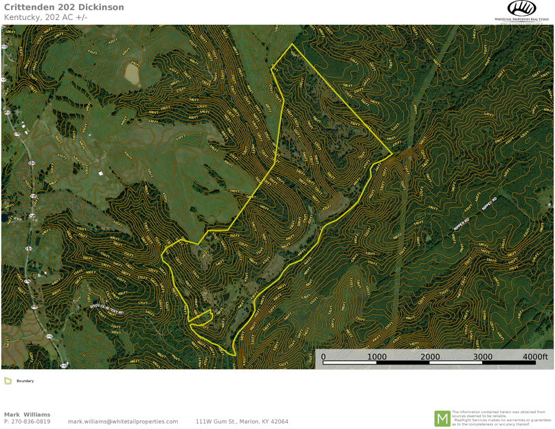 Crittenden 201.98 topo